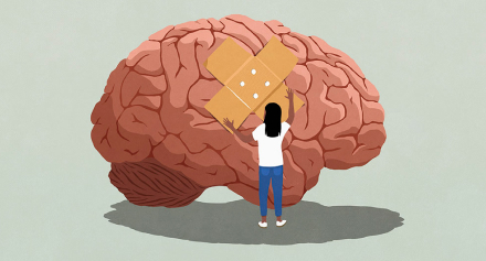 Image representing Understanding Concussions in Children: Symptoms, Treatment, and Prevention
