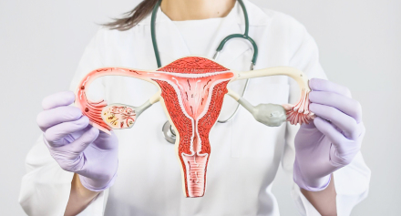 Image representing A Complete Guide to Hysterectomy: Types, Benefits, and Recovery