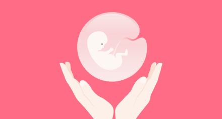 Image representing The Placenta: Your Baby’s Lifeline – Understanding Its Role and Potential Complications